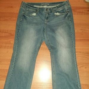 Maurices Plus Size Jeans